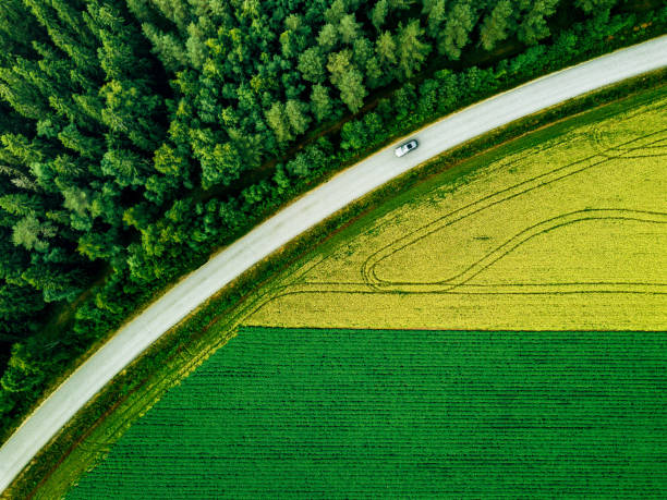 vue aérienne de la voiture conduisant sur la route le long de la forêt verte et de la pomme de terre avec des champs jaunes de colza - meadow single lane road nature field photos et images de collection