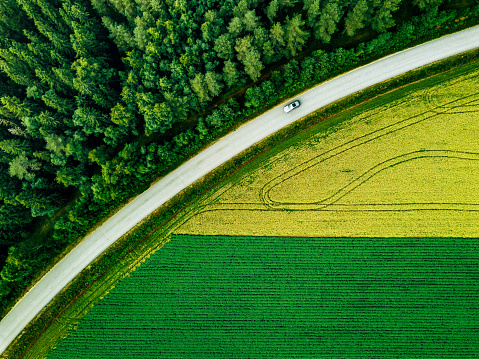 Aerial view of car driving on road along the green forest and potato with yellow rapeseed fields in rural landscape in summer Finland.