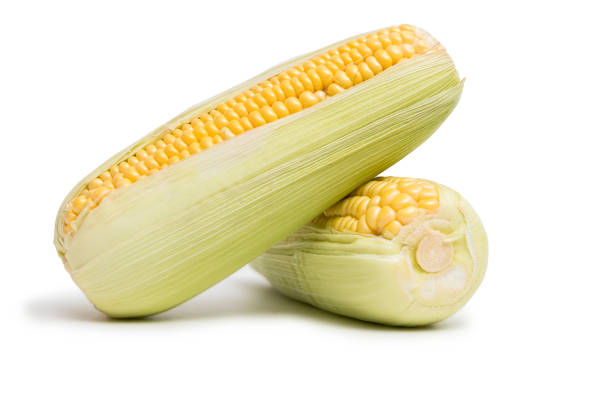 istock Two ear of sweet corn isolated on white background. 1209918663