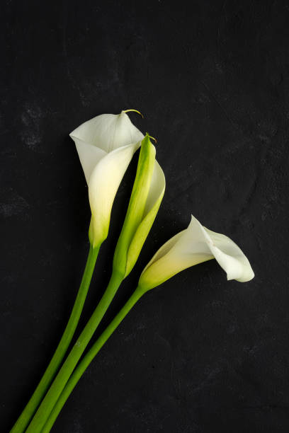 istock Beautiful bouquets of fresh spring flowers 1209919994