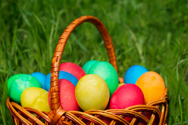 istock Multi-colored Easter eggs lie in a wicker rattan basket, which stands in tall green grass. 1209924317
