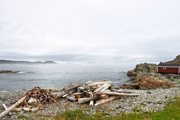 istock Landscape near Twillingate, Newfoundland,Canada 1209927943