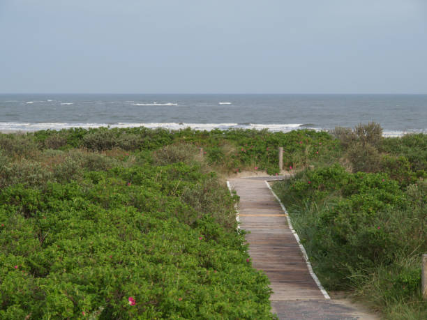 istock langeoog island in germany 1209928999
