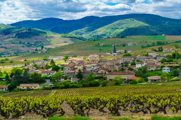 Vineyards and countryside in Beaujolais, with the village Lantignie Landscape of vineyards and countryside in Beaujolais, with the village Lantignie. Rhone department, France beaujolais region stock pictures, royalty-free photos & images