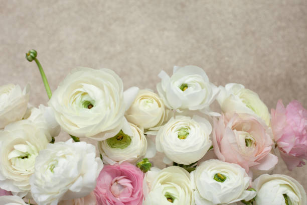 istock Pastel Ranunculus Bouquet in Glass Vase. 1209930066