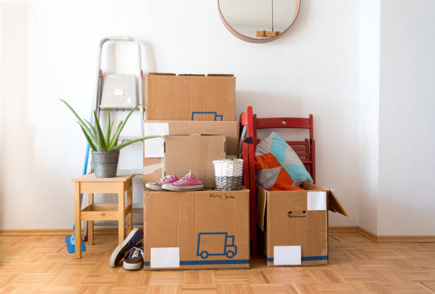 istock Move. Cardboard boxes, cleaning things and stuff for moving into a new, clean and bright home 1209930242