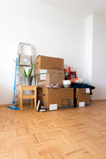istock Move. Cardboard boxes, cleaning things and stuff for moving into a new, clean and bright home 1209930295
