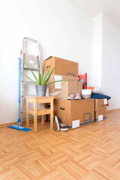 istock Move. Cardboard boxes, cleaning things and stuff for moving into a new, clean and bright home 1209930371