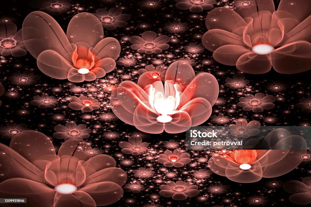 Abstract Fractal 3d Space Light Brown Flowers Against A Dark Beautiful  Starry Sky Multicolored Fractal Image On A Black Background Stock Photo -  Download Image Now - iStock