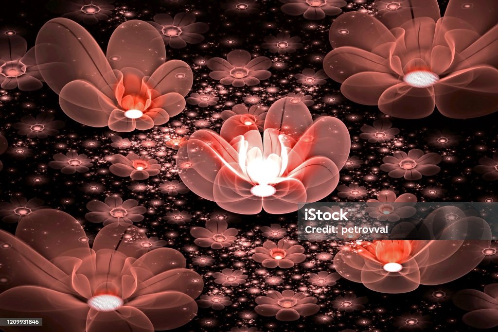 Abstract Fractal 3d Space Light Brown Flowers Against A Dark Beautiful Starry Sky Multicolored Fractal Image On A Black Background Stock Photo - Download Image Now - iStock Abstract Fractal 3d Space Light Brown Flowers Against A Dark Beautiful Starry Sky Multicolored Fractal Image On A Black Background Stock Photo - Download Image Now - iStock