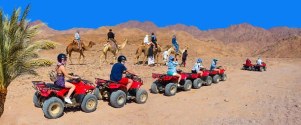 The people at quad tour in the desert in Egypt Sharm El Sheikh, Egypt - February 17, 2020: Tourist rides camel on beach with help of Egyptian man on February 17, 2020 in Sharm el Sheikh, Egypt. dahab photos stock pictures, royalty-free photos & images