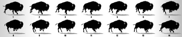 bison run zyklus-animationsrahmen, loop-animationssequenz sprite-blatt - amerikanischer bison stock-grafiken, -clipart, -cartoons und -symbole