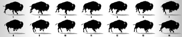 ilustrações de stock, clip art, desenhos animados e ícones de bison run cycle animation frames, loop animation sequence sprite sheet - bisonte