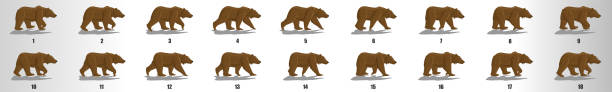 ilustrações, clipart, desenhos animados e ícones de quadros de animação do ciclo de caminhada do urso, folha sprite de seqüência de animação de loop - looping animation
