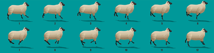 Running Black Sheep animation sequence, loop animation sprite sheet