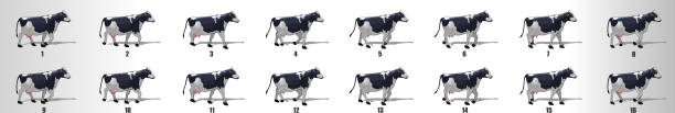 牛歩行サイクルアニメーションフレーム、ループアニメーションシーケンススプライトシート- - step animation点のイラスト素材／クリップアート素材／マンガ素材／アイコン素材