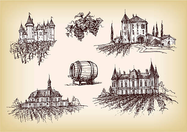 Winery castels with vineyards on sepia vector art illustration