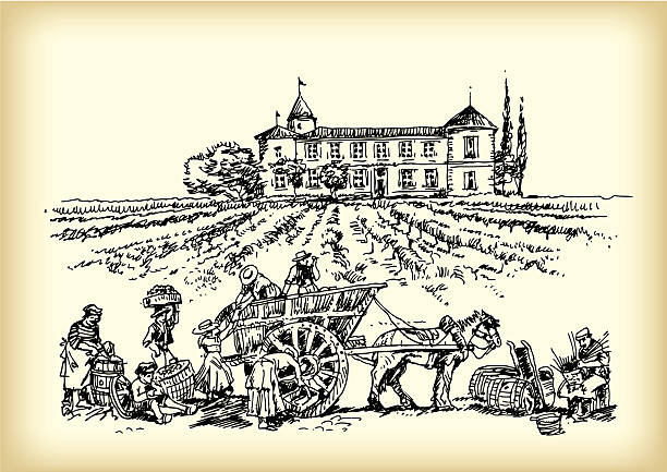 Men working in vineyard vector art illustration