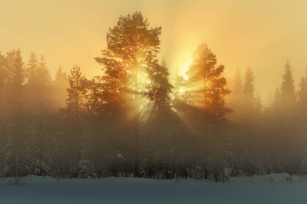 istock North sunset .russian north sun. 1209934300