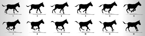 donkey run zyklus animation rahmen silhouette, schleife animation sequenz sprite blatt - zebra walk stock-grafiken, -clipart, -cartoons und -symbole