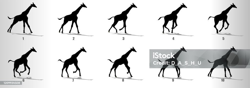 Giraffe Run Cycle Animation Frames Silhouette Loop Animation Sequence  Sprite Sheet Stock Illustration - Download Image Now - iStock