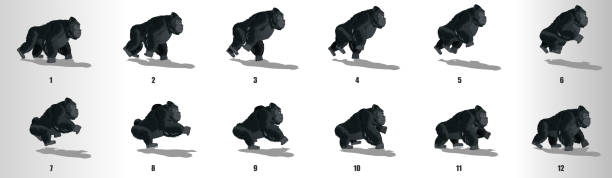 gorilla run zyklus animation frames, schleife animation sequenz sprite blatt - silberrucken gorilla stock-grafiken, -clipart, -cartoons und -symbole