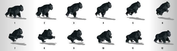 Gorilla Run cycle animation frames, loop animation sequence sprite sheet Running Gorilla animation sequence, loop animation sprite sheet cartoon of rainforest free stock illustrations