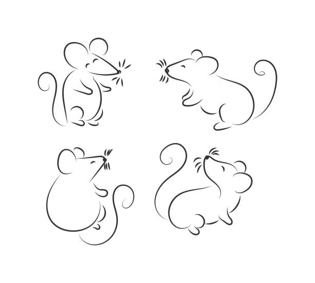 13,852 Drawings Of Mice Illustrations & Clip Art - iStock