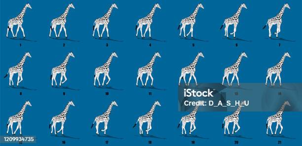 Giraffe Walk Cycle Animation Frames Loop Animation Sequence Sprite Sheet  Stock Illustration - Download Image Now - iStock