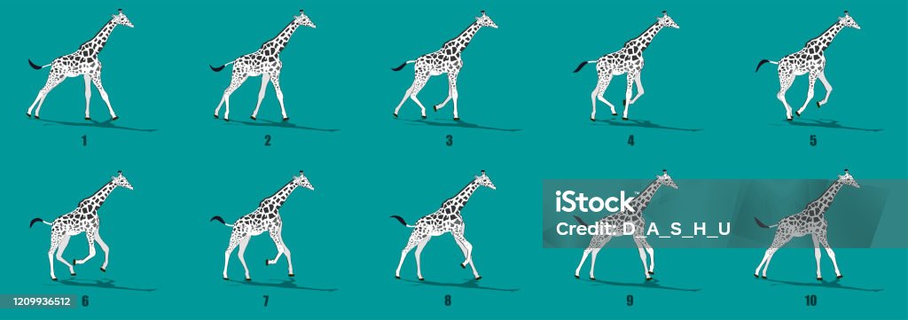 Giraffe Run Cycle Animation Frames Loop Animation Sequence Sprite Sheet  Stock Illustration - Download Image Now - iStock
