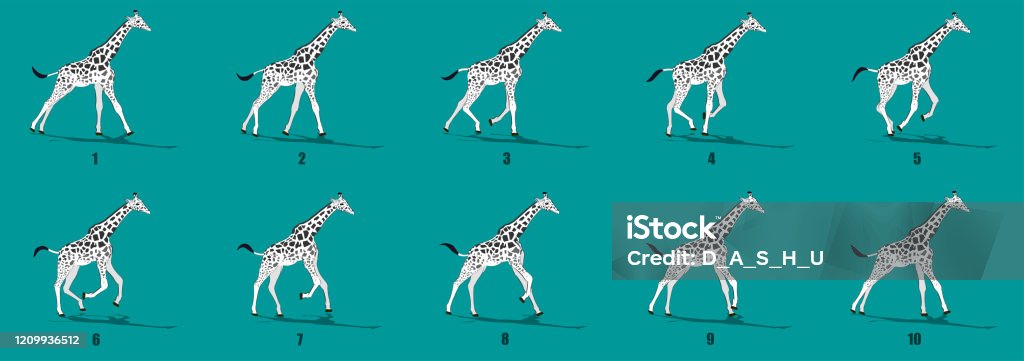 Giraffe Run Cycle Animation Frames Loop Animation Sequence Sprite Sheet Stock Illustration - Download Image Now - iStock Giraffe Run Cycle Animation Frames Loop Animation Sequence Sprite Sheet Stock Illustration - Download Image Now - iStock