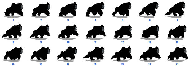 gorilla walk zyklus animation rahmen silhouette, schleife animation sequenz sprite blatt - silberrucken gorilla stock-grafiken, -clipart, -cartoons und -symbole