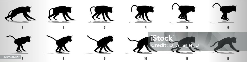 Monkey Run Cycle Animation Frames Silhouette Loop Animation Sequence Sprite  Sheet Stock Illustration - Download Image Now - iStock