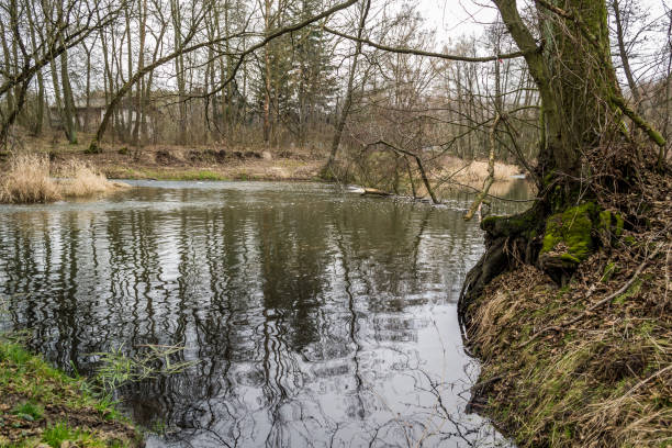 istock A small, wild river in central Poland. 1209937108
