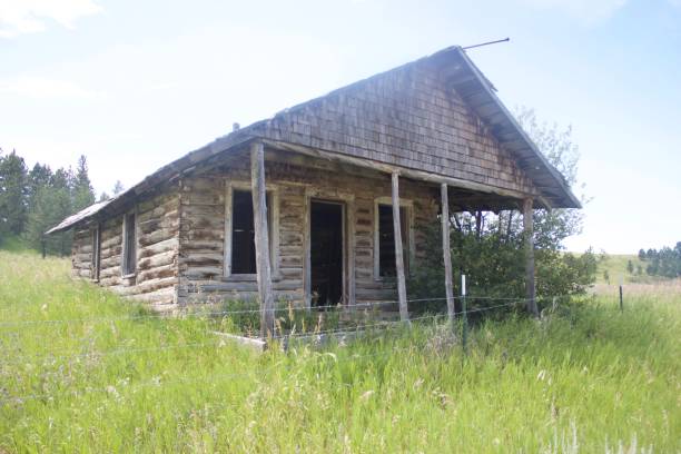 istock Abandoned Cabin in Lodge Pole Montana 1209938247