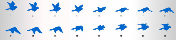 鳥の飛行アニメーションシーケンス、ループアニメーションスプライトシート - looping animation点のイラスト素材／クリップアート素材／マンガ素材／アイコン素材