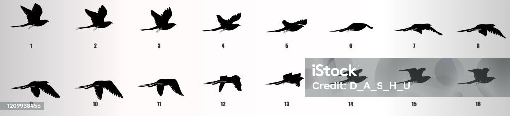 Bird Flying Animation Sequence Silhouette Loop Animation Sprite Sheet Stock  Illustration - Download Image Now - iStock