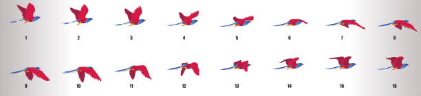 ilustrações, clipart, desenhos animados e ícones de seqüência de animação voadora de pássaro, folha de sprite de animação de loop - looping animation