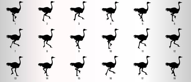 Ostrich Run Cycle animation sequence silhouette, loop animation sprite sheet Ostrich running animation sequence silhouette, loop animation frames, ostrich silhouette stock illustrations