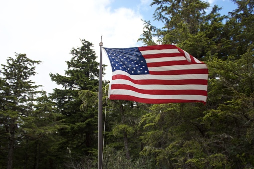 The American flag flown on a flag pole in front of pine trees. Taken in Juneau Alaska in the Tongass National Forest.