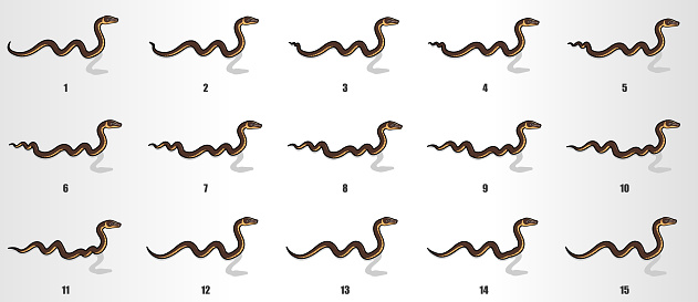 Sequent Snake Snake Crawling Animation Sequence Stock Illustration - Download Image ...