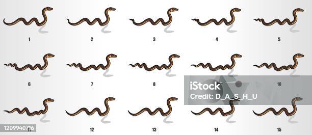 Sequent Snake Snake Crawling Animation Sequence Stock Illustration - Download Image ...