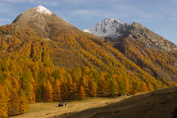 istock House in the mountains 1209941739