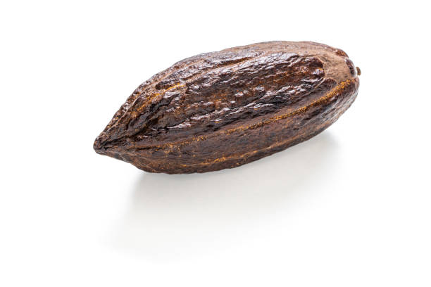 baccello di cacao con cacao per cioccolato isolato su bianco - cocoa bean foto e immagini stock