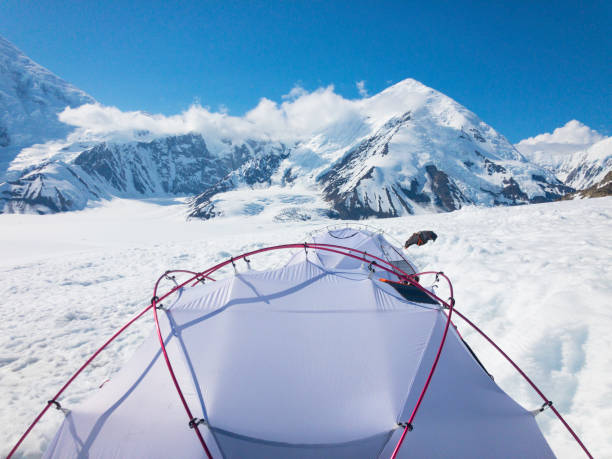 Denali National Park, Healy, Alaska, USA - June 13 2019: Tent at Denali Naitonal Park