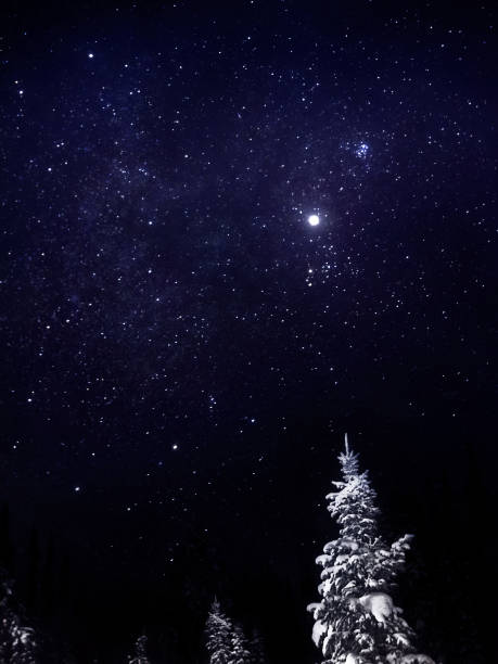 istock Starry sky in the winter in the mountains. 1209943700