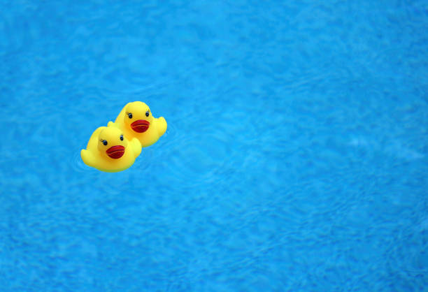 istock Two yellow rubber ducks floating in swimming pool looking up. 1209943805