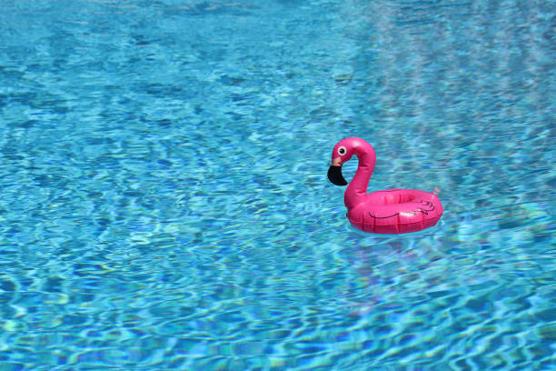 różowy flaming pływacki pierścień pływający w niebieskim basenie. - plastic flamingo zdjęcia i obrazy z banku zdjęć