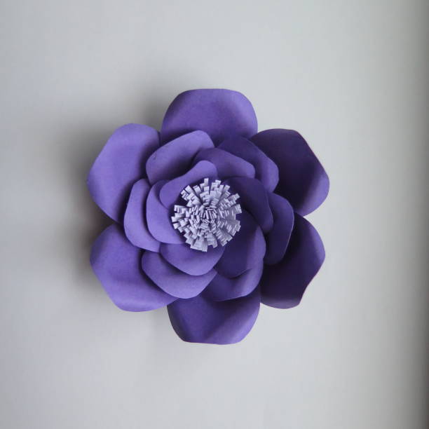 purple paper flower