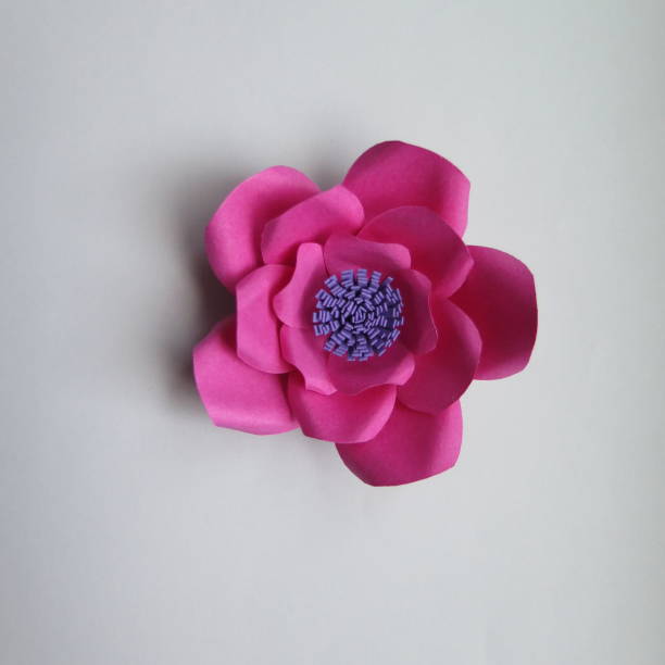 istock pink paper flower 1209947661
